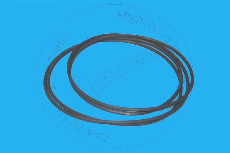 900.01673 Seal O-ring for BLUMAQ