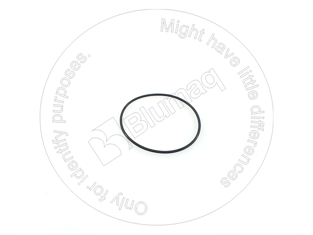 115.A568 Seal O-ring for BLUMAQ