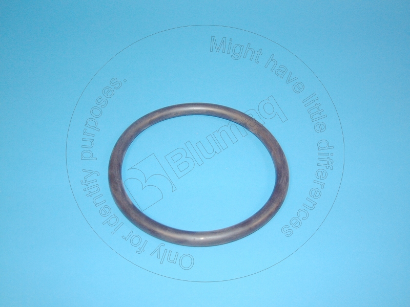 4K-0173 Seal O-ring for BLUMAQ