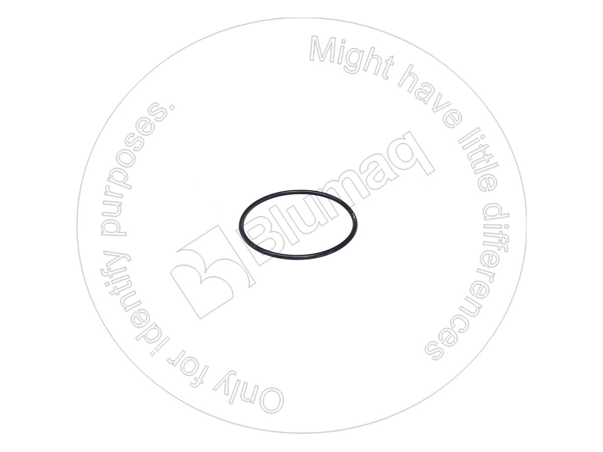 DG841412 Seal O-ring for BLUMAQ