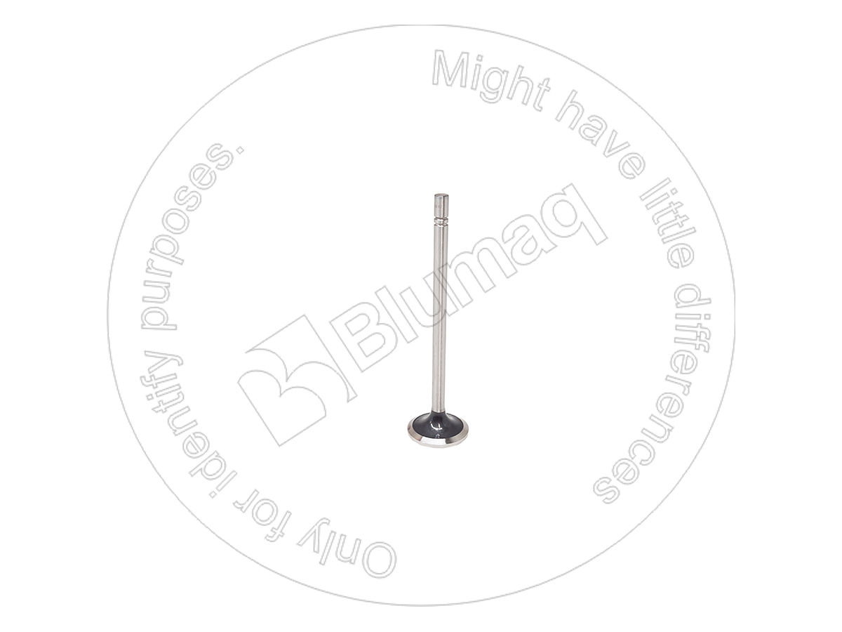 7E-9578 Intake Valve