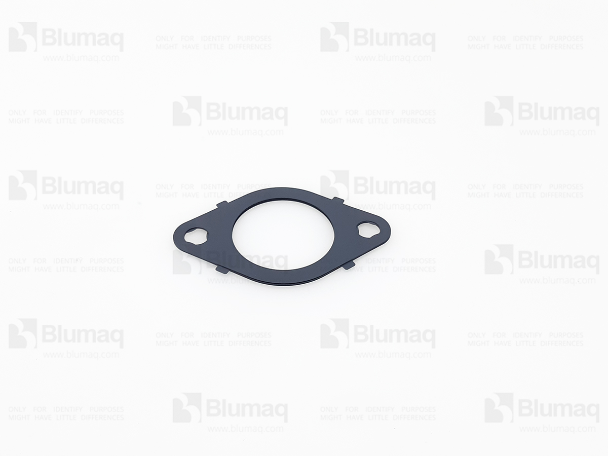 6745-11-5590 Manifold Gasket for BLUMAQ
