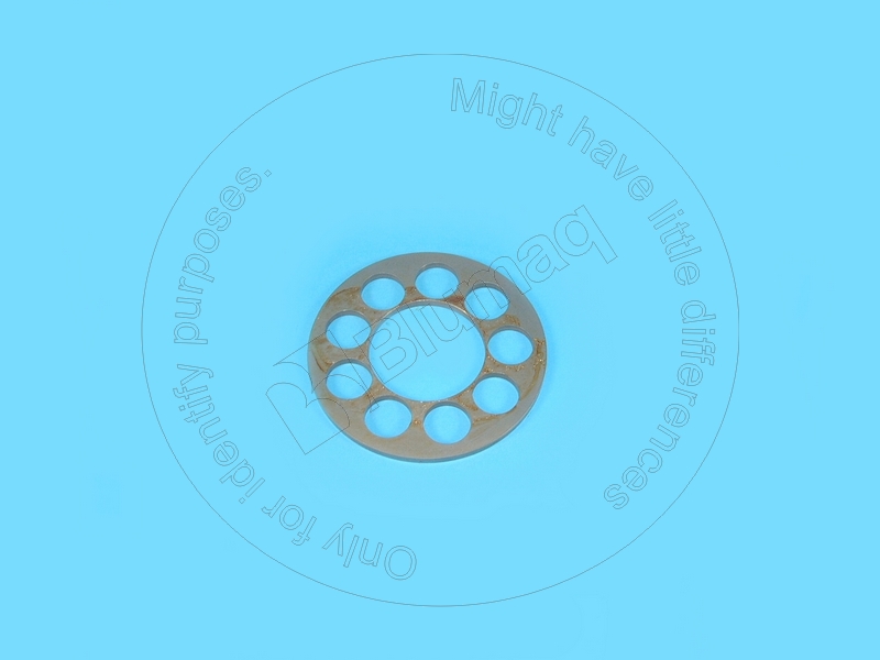 9T-3019 Plate for BLUMAQ