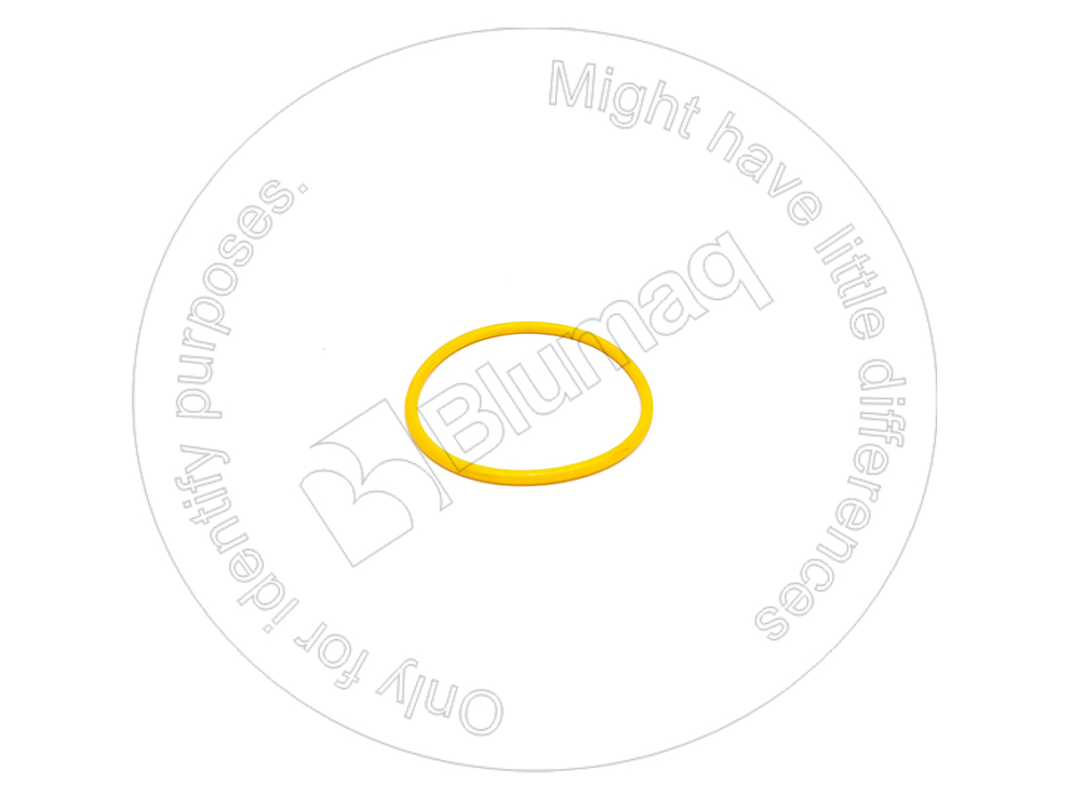 3H-0976 Seal O-ring for BLUMAQ