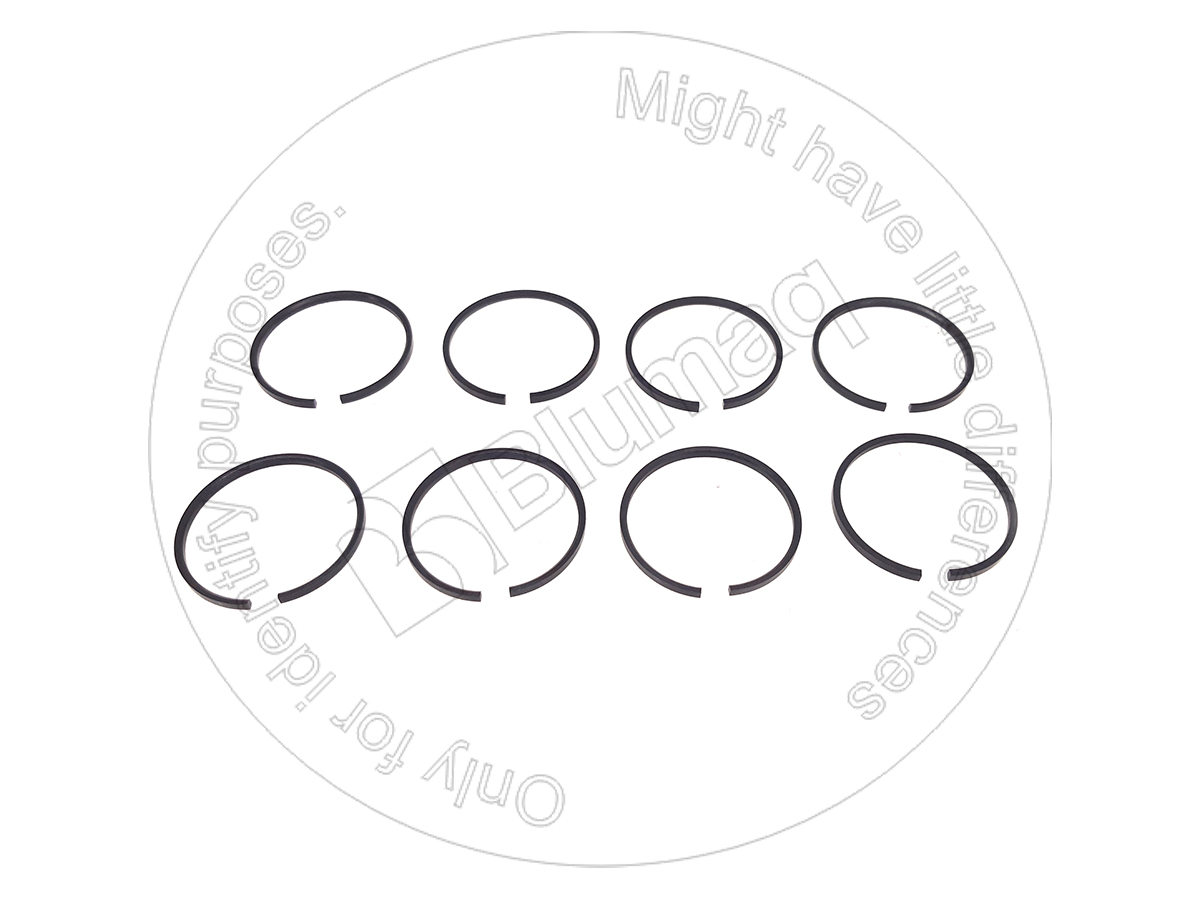1S-9875 Ring Set for BLUMAQ