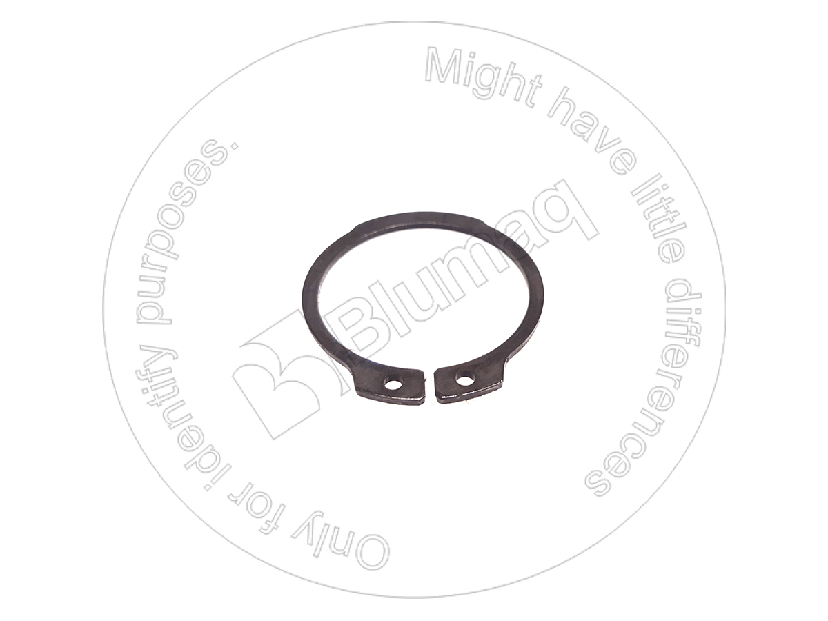 227488 BLUMAQ Seal Ring