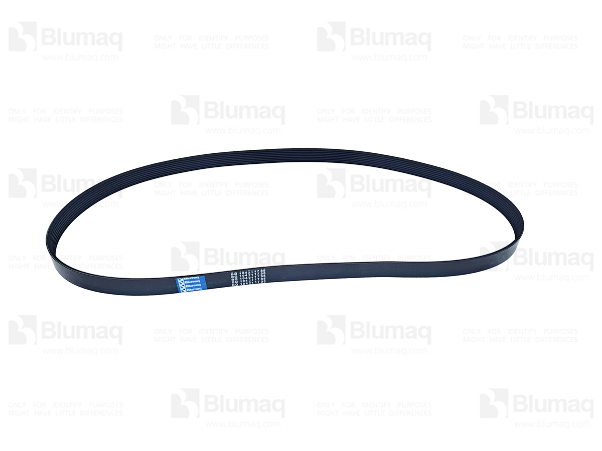 CSJ911580 Belt
