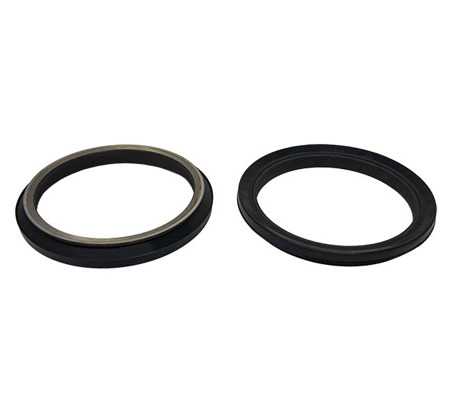 G109655 Seal, Duo Cone