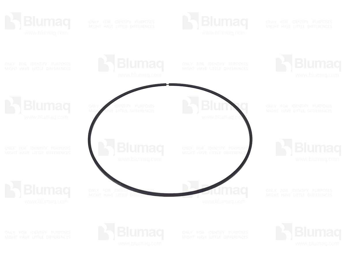 6P-8267 Seal Ring for BLUMAQ