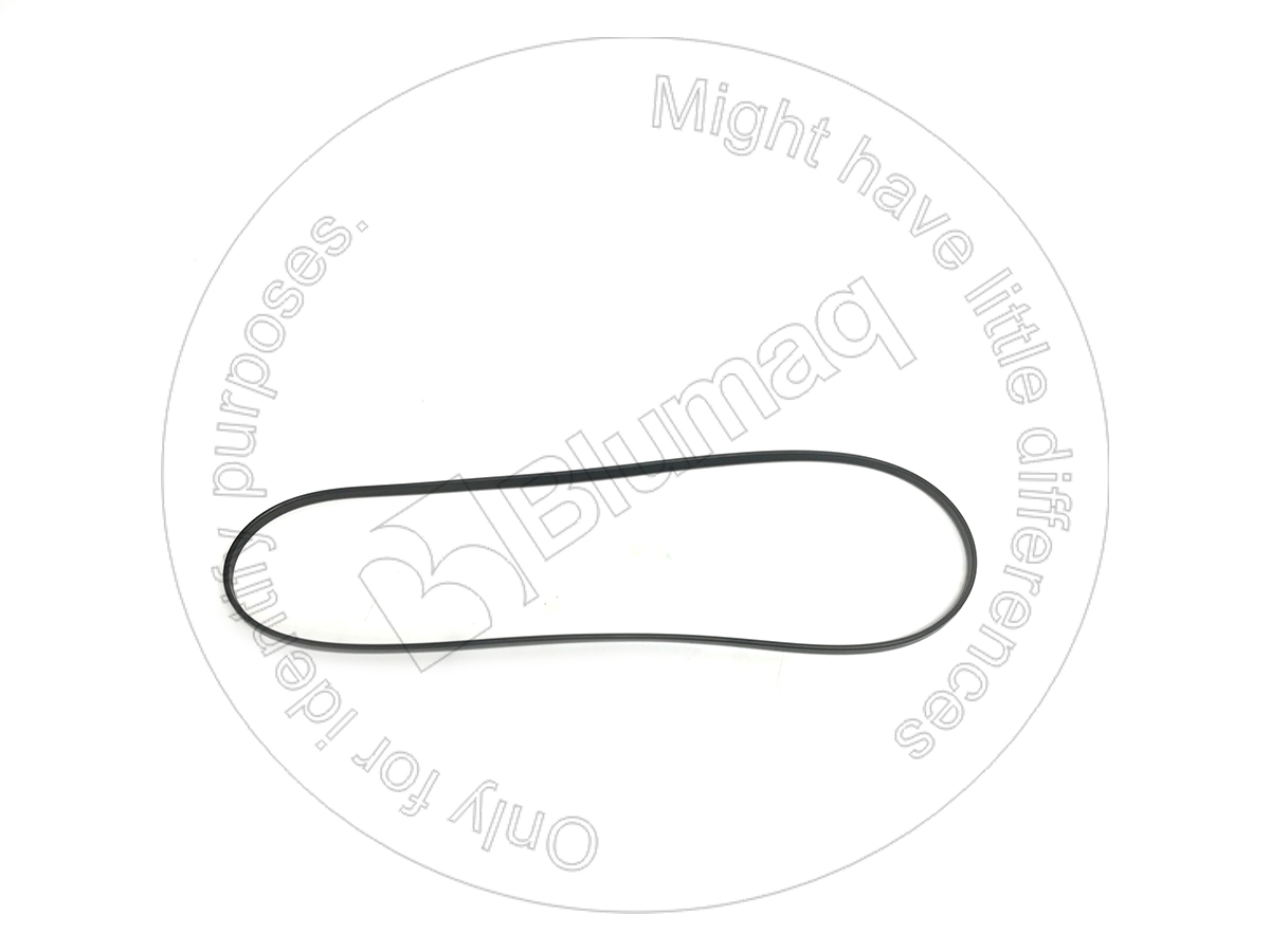 255-2993 Gasket for BLUMAQ
