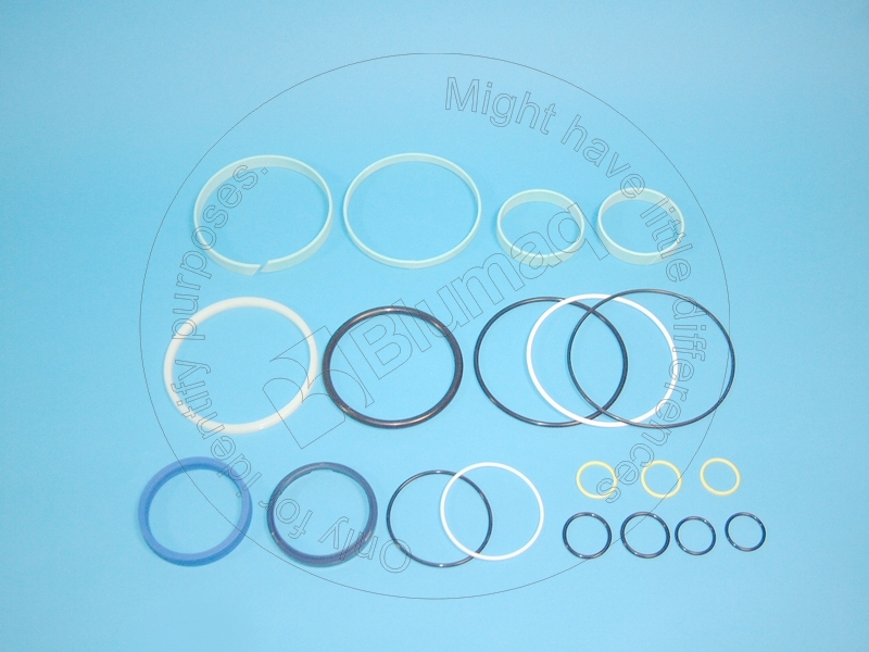 118-3110 Seal Kit for CATERPILLAR