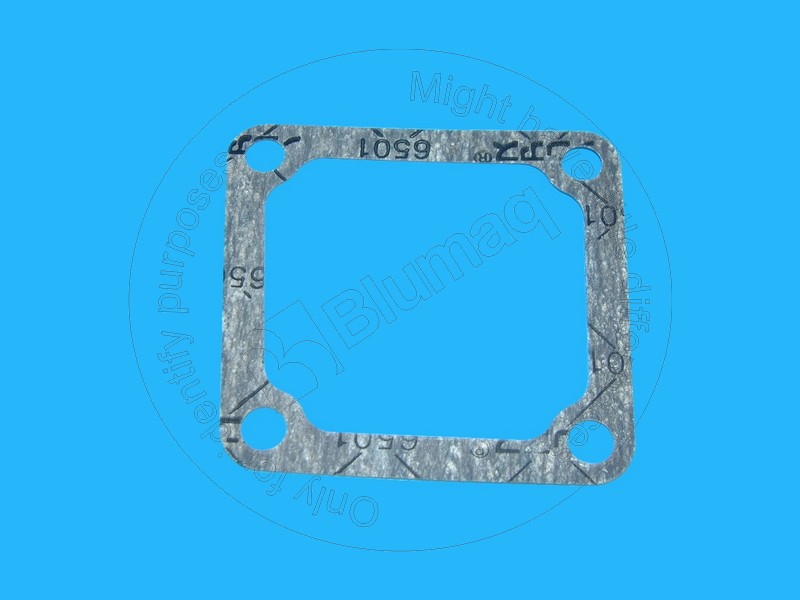 232-15-15970 Gasket for BLUMAQ