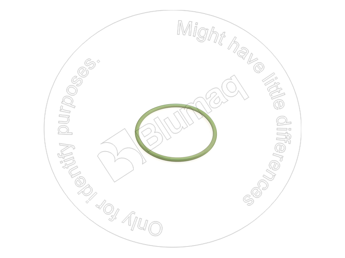 DZ01175851 Seal for BLUMAQ