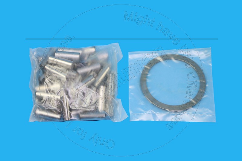 4881319 Needle Bearing