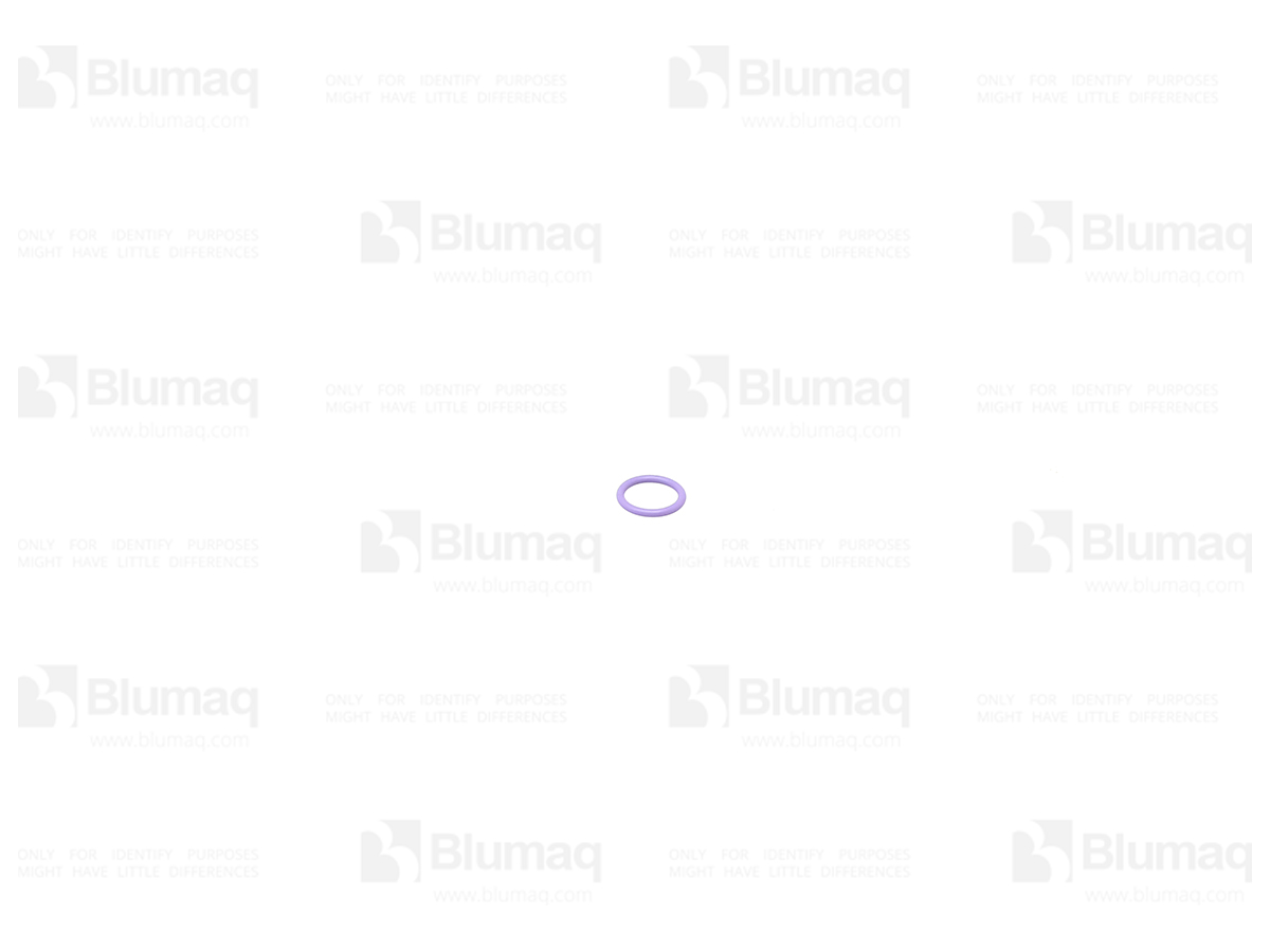 6V-6609 Seal O-ring for BLUMAQ