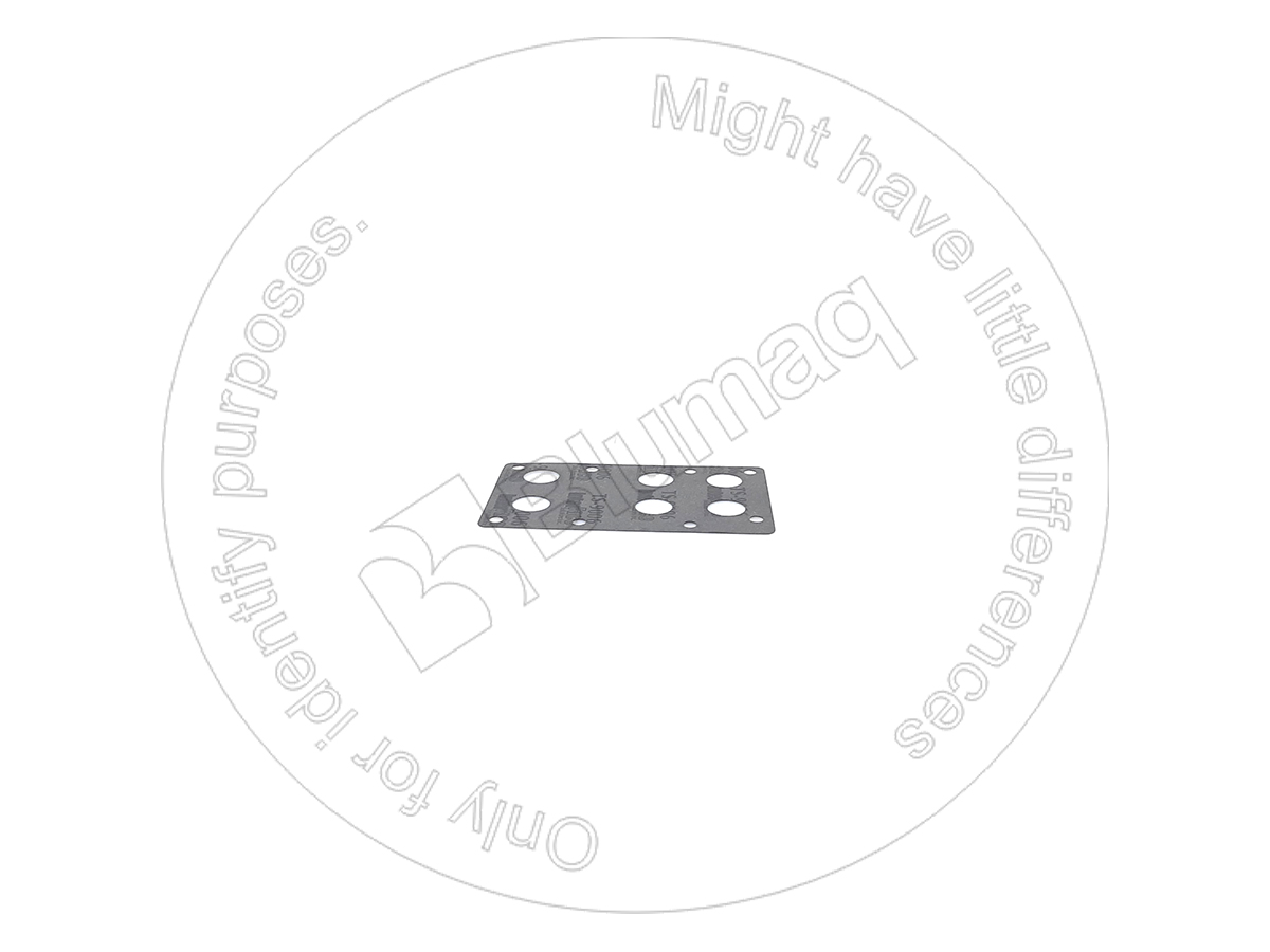 VO11036727 Gasket for BLUMAQ