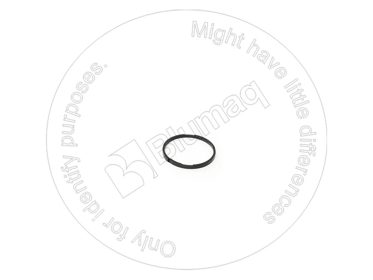 126-1935 Seal Ring for BLUMAQ