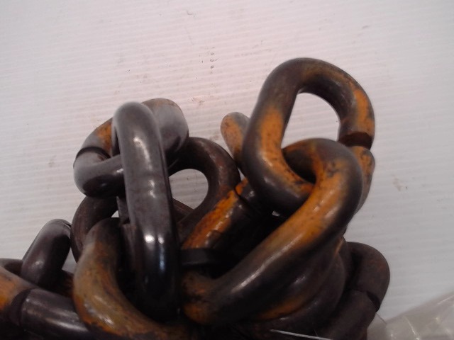 12950 WOODS Link Assy