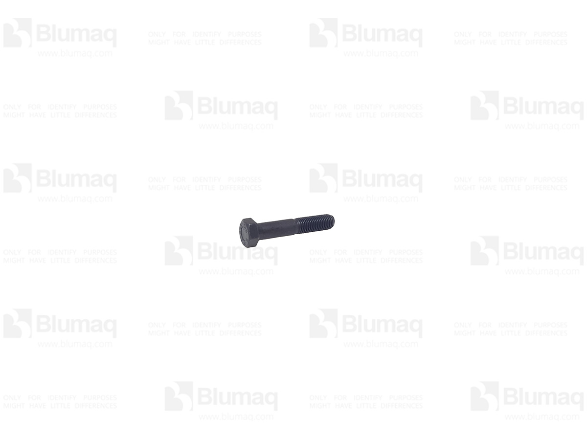 CS102R016Y085R BLUMAQ Bolt