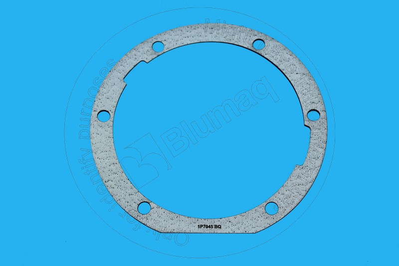 1H-8265 Gasket for BLUMAQ