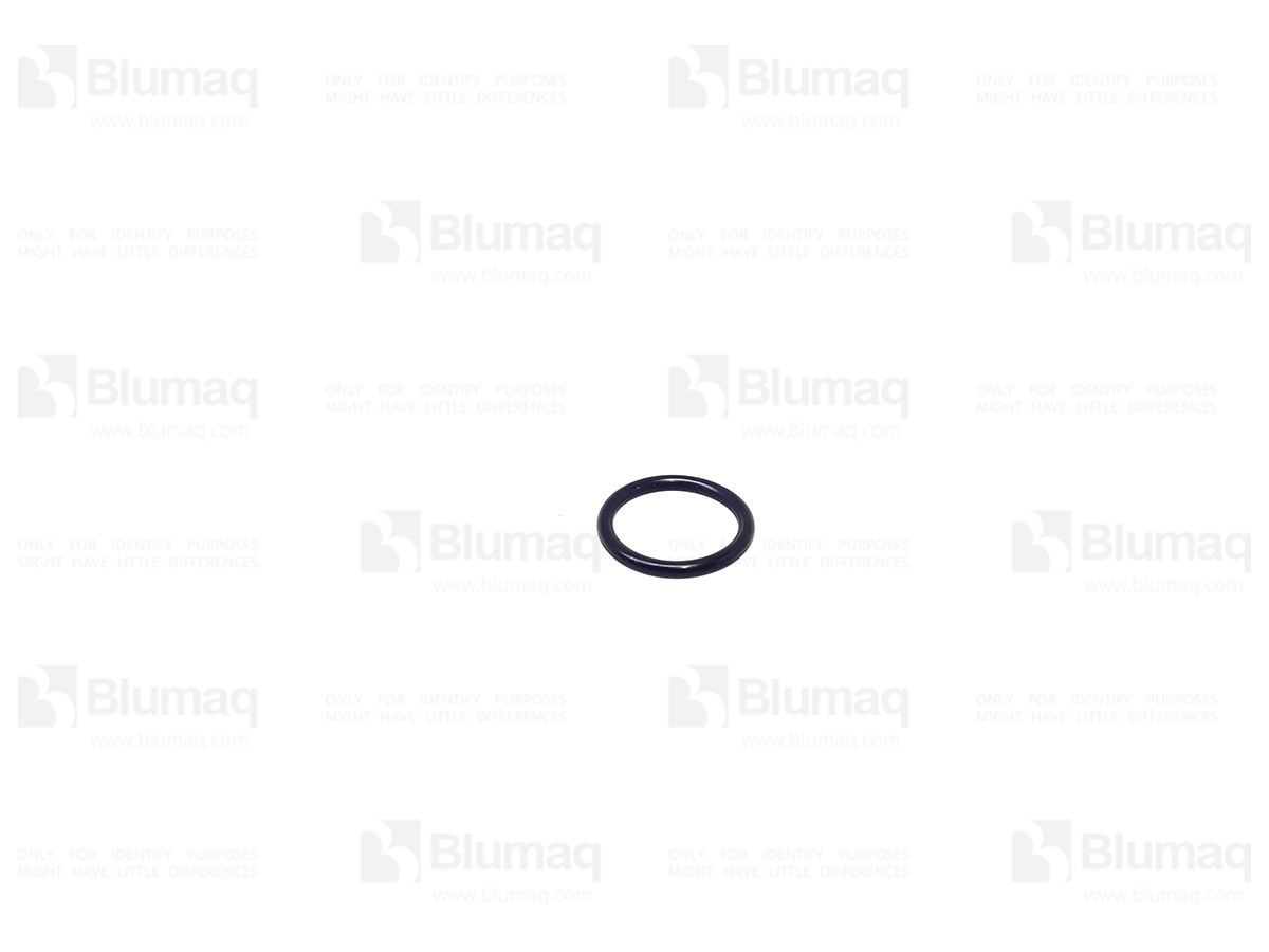 297-0483 Seal O-ring for BLUMAQ