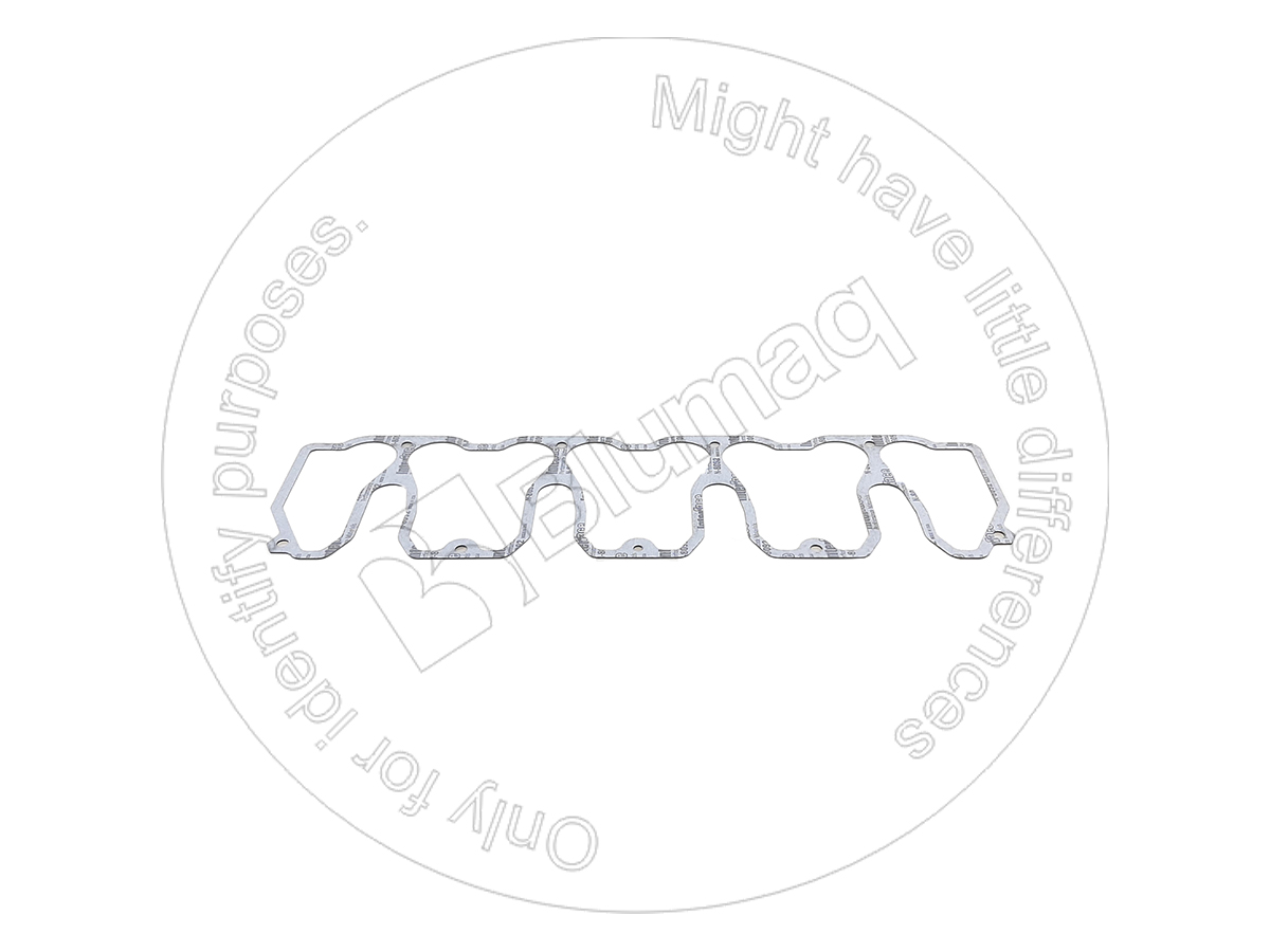 900.02980 Gasket for BLUMAQ