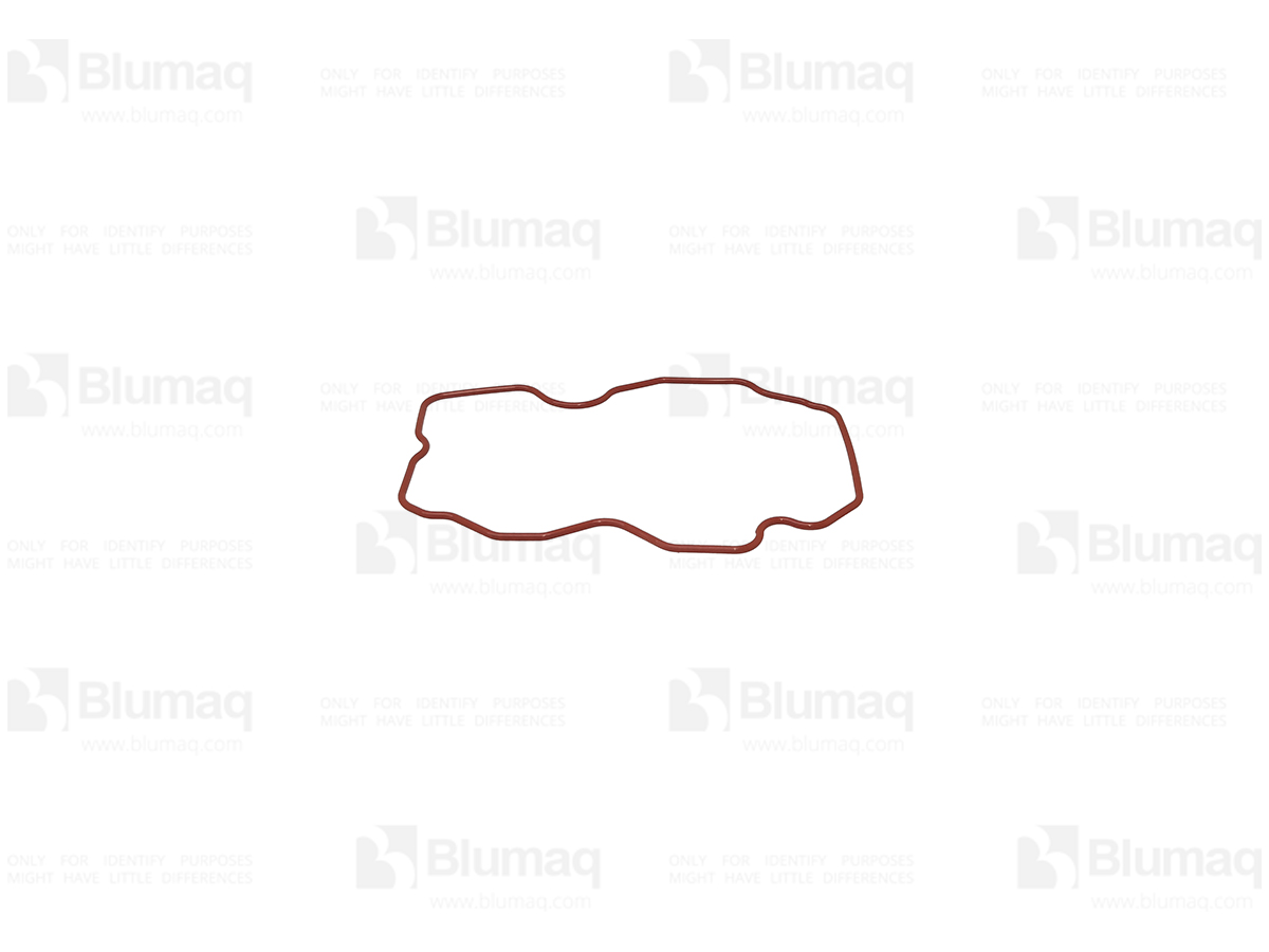 6218-11-8830 Gasket for BLUMAQ