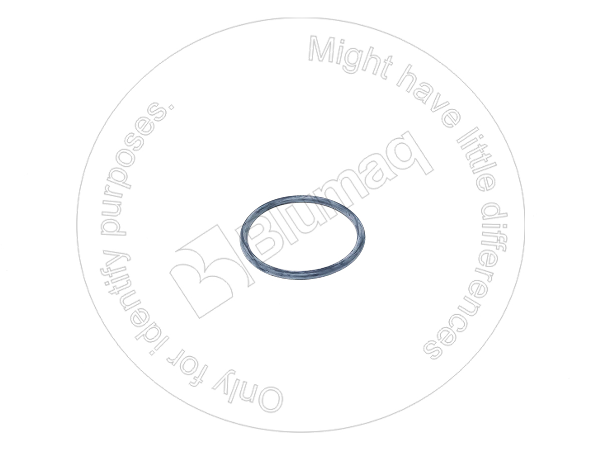 095-1551 Seal for BLUMAQ