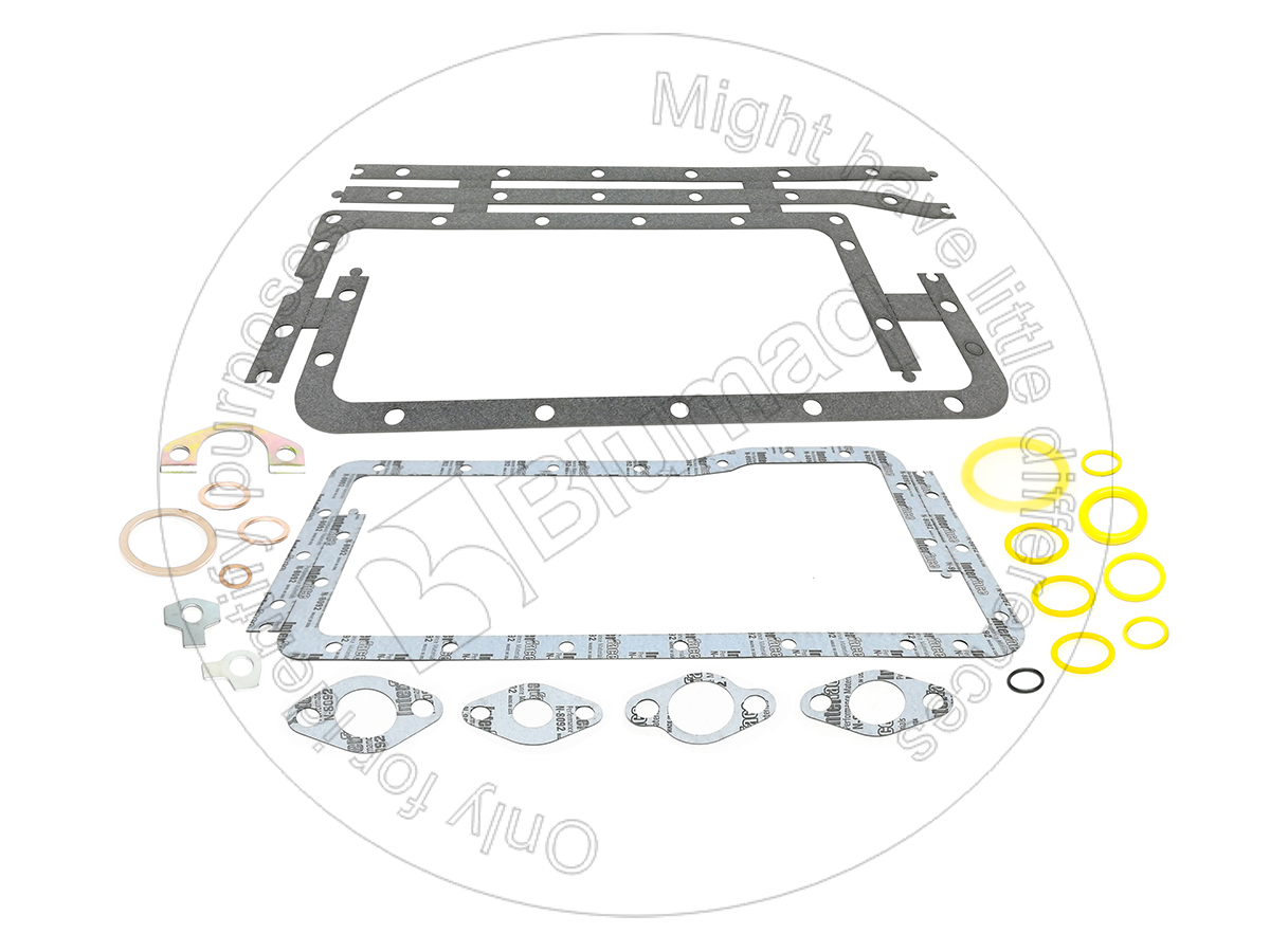 391-1095 BLUMAQ Gasket Kit