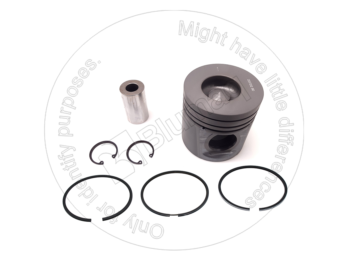 233-7232 Piston Kit for BLUMAQ