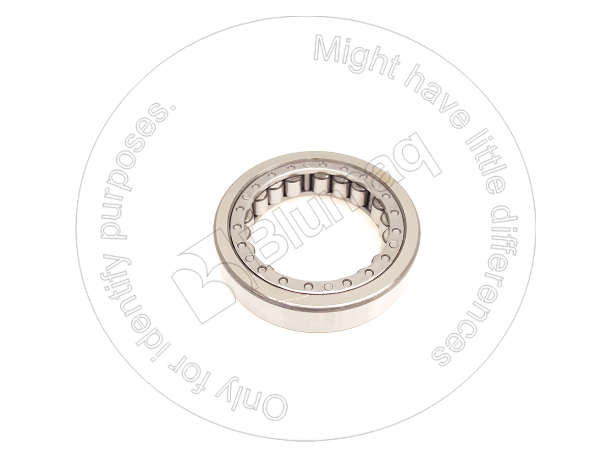 2K-5254 Bearing for BLUMAQ