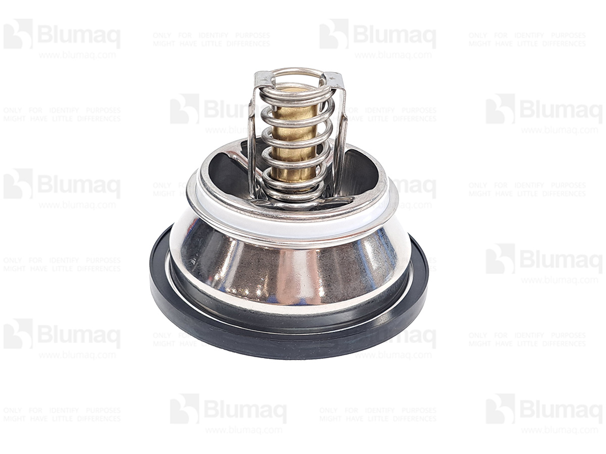 035.379 Thermostat for BLUMAQ