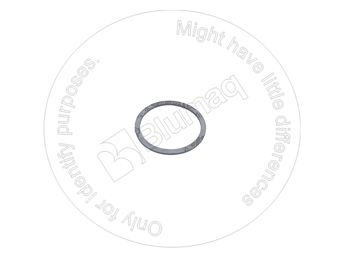 20N-60-11180 Gasket for BLUMAQ