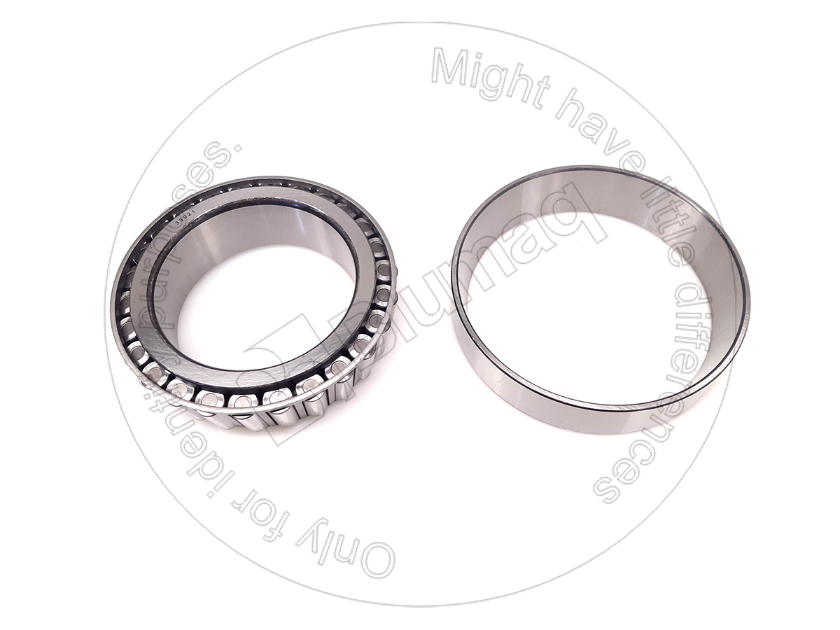33021/Q Roller Bearing for BLUMAQ