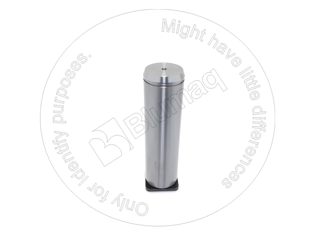 491-2024 Pin for BLUMAQ