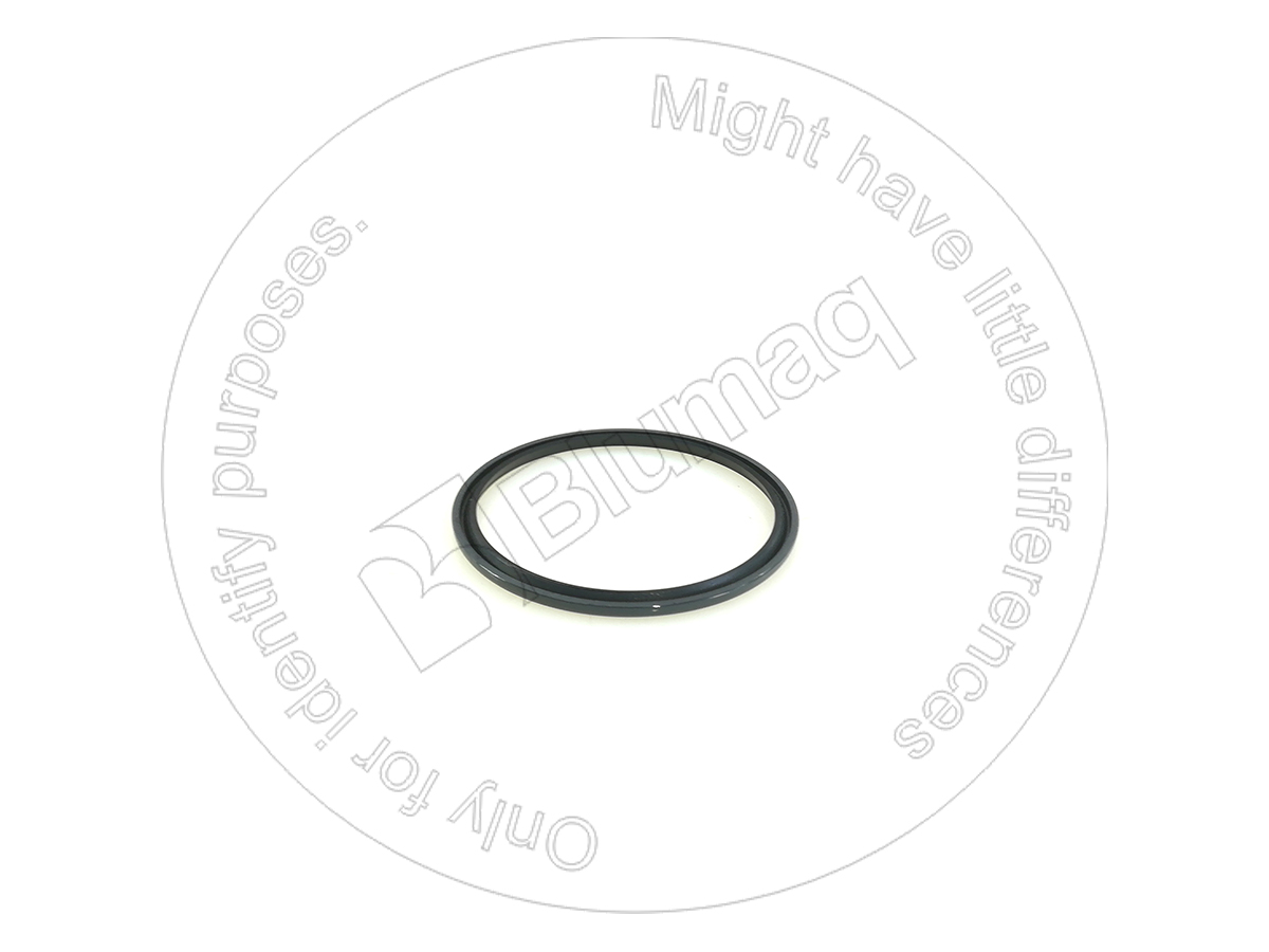 8K-8121 Seal for BLUMAQ