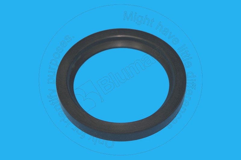 3K-2876 Seal for BLUMAQ