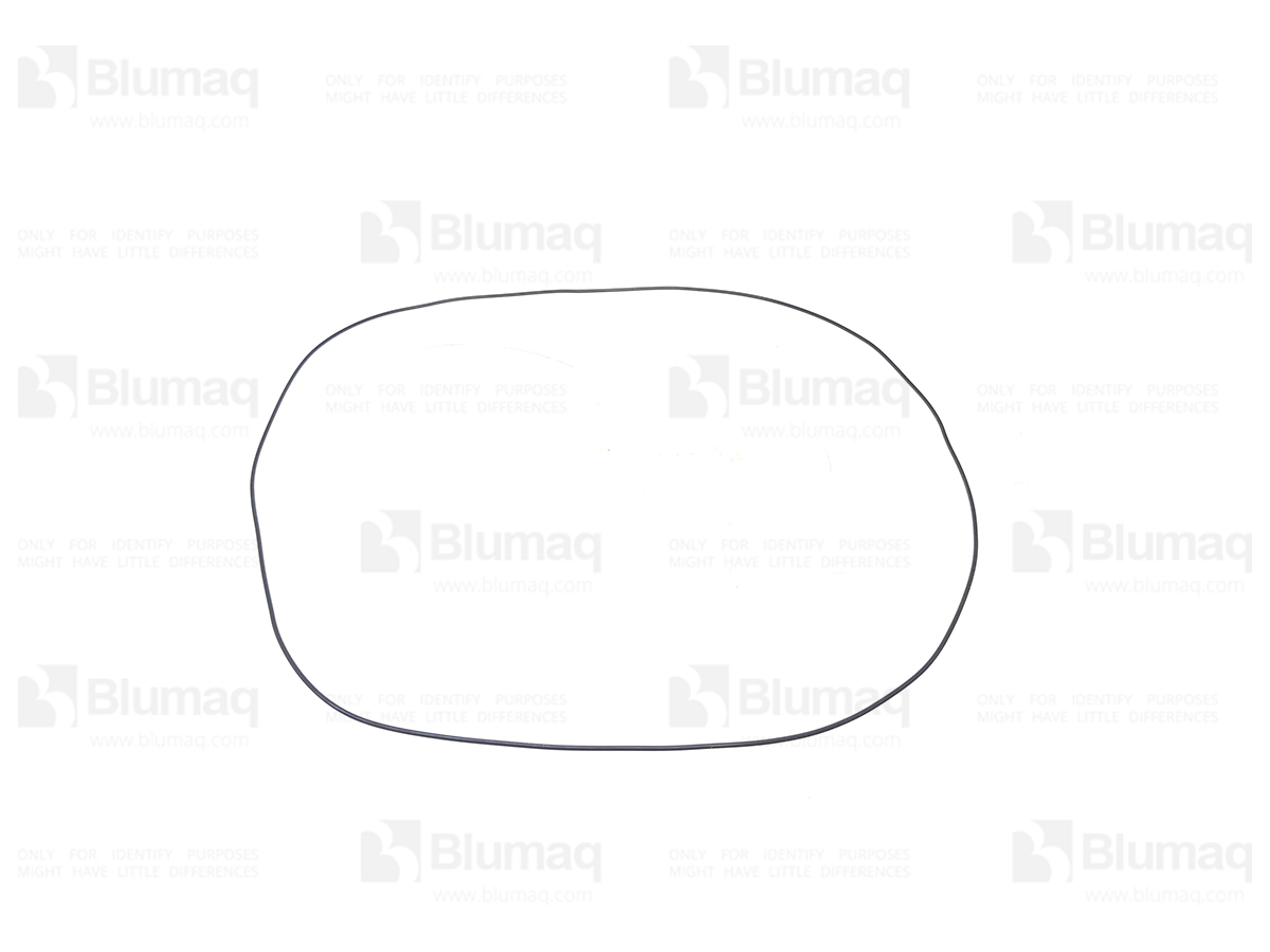 552-3136 Seal O-ring