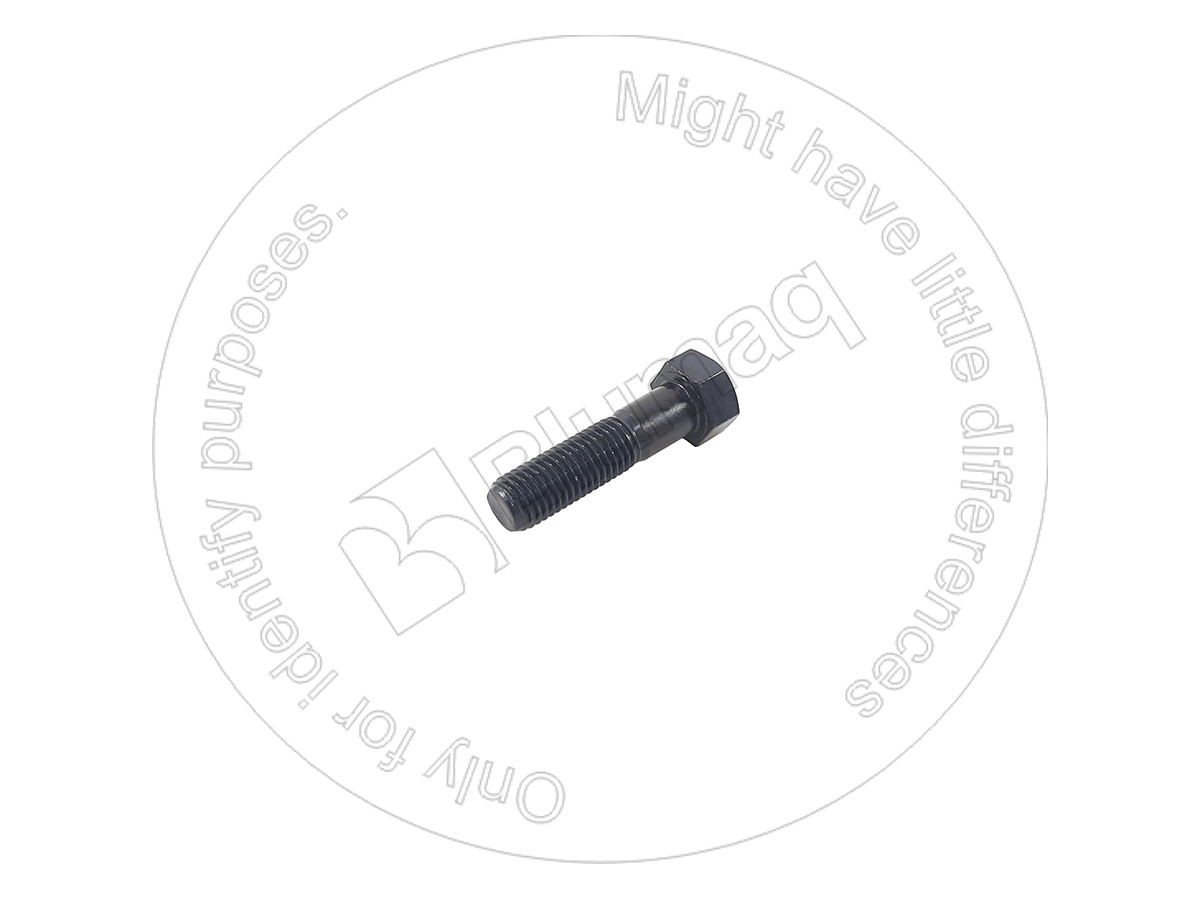 774534 BLUMAQ Bolt