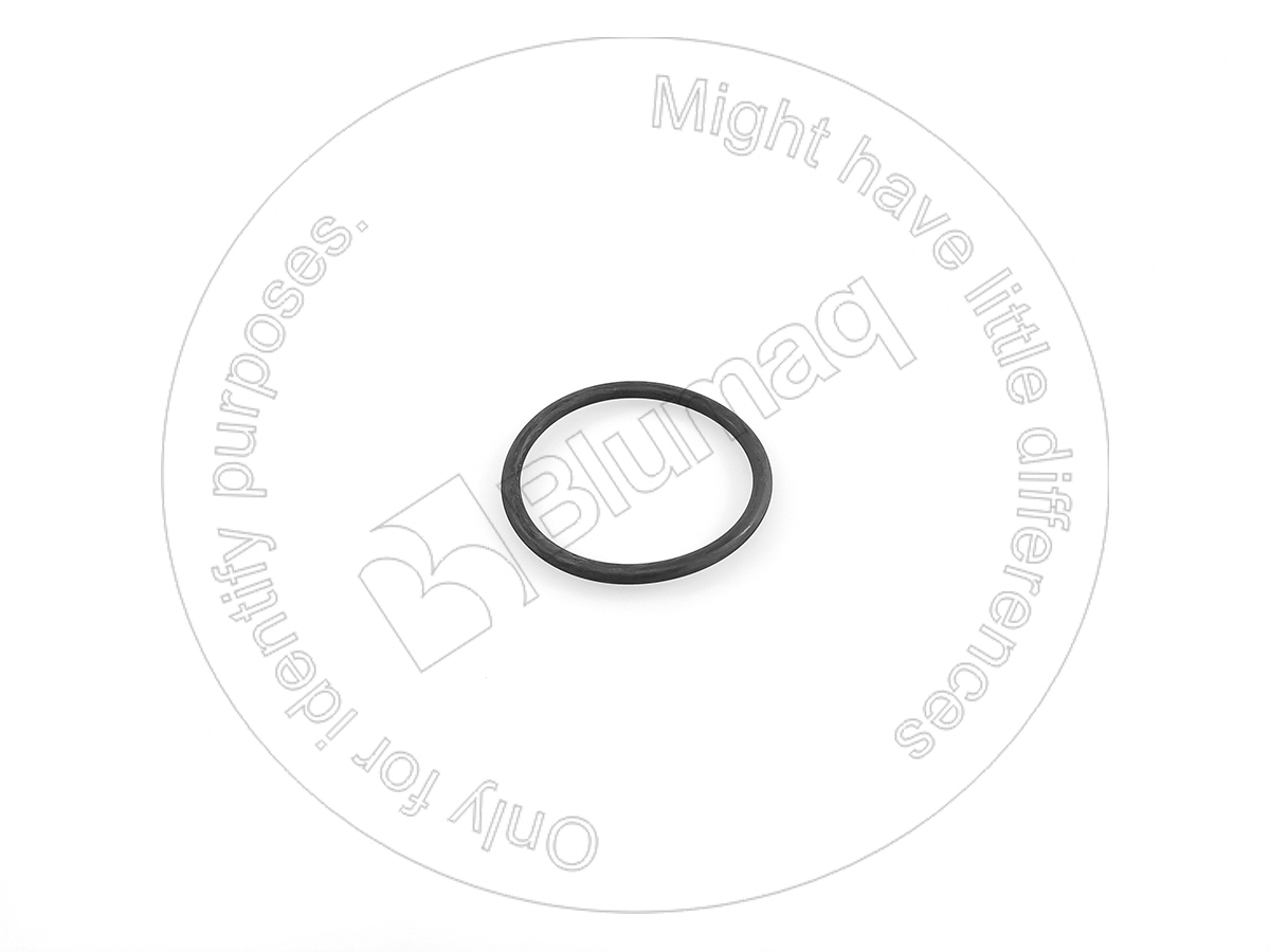 2A-3676 Seal O-ring for BLUMAQ