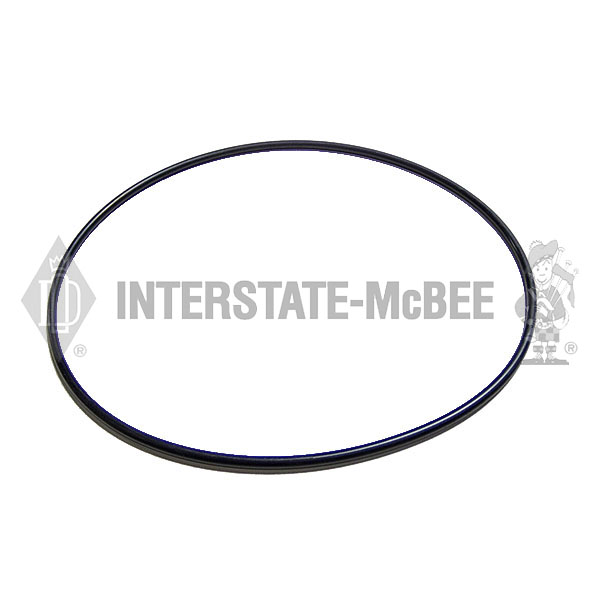 M-304746A Seal Ring