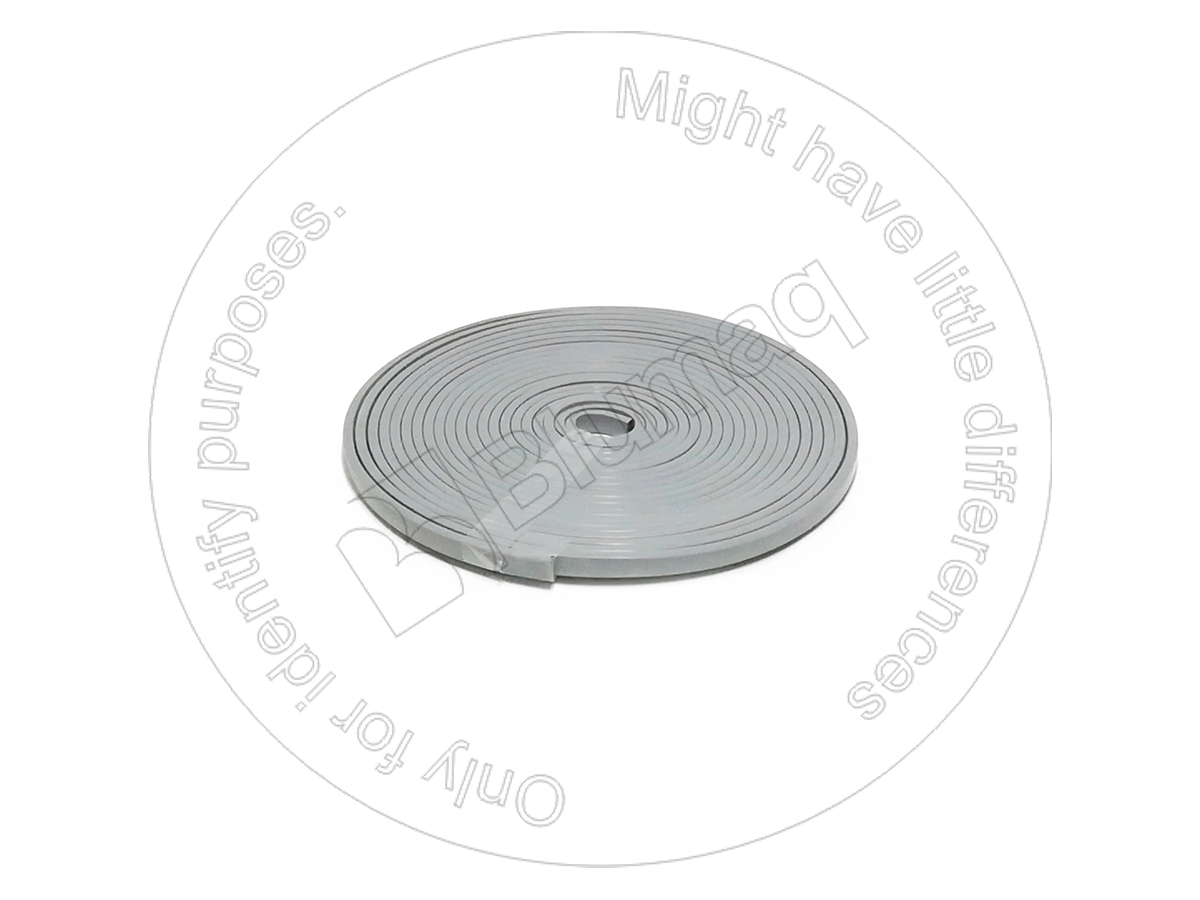 5P-5678 M. Bulk Seal for BLUMAQ