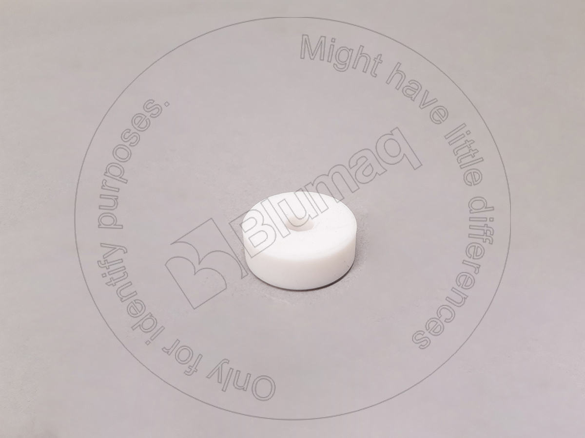 094-0579 Disc for BLUMAQ