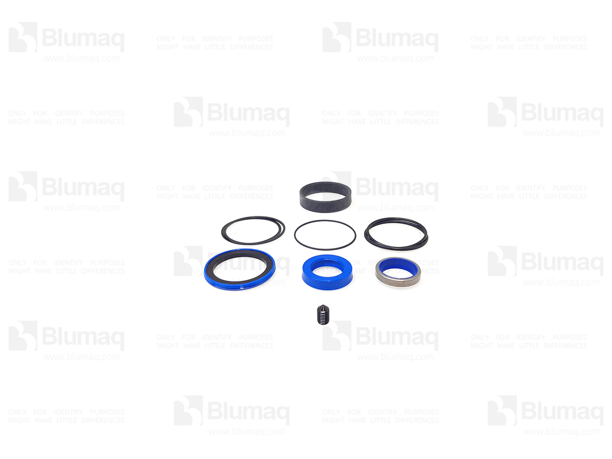 218-6825 Seal Kit for BLUMAQ
