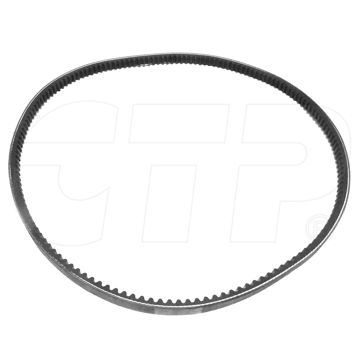 5H7448 Belt Single