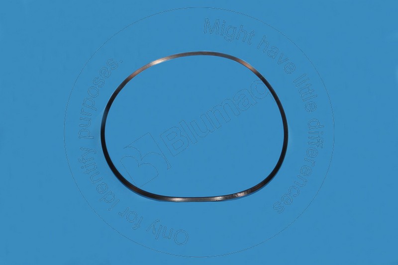 8J-3879 Seal O-ring for BLUMAQ