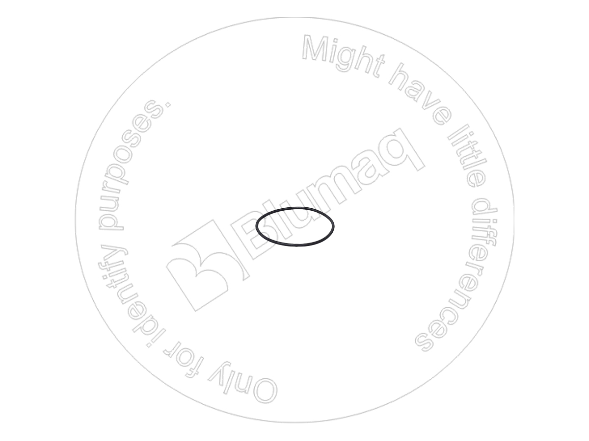 600-31-13630 Seal O-ring for BLUMAQ
