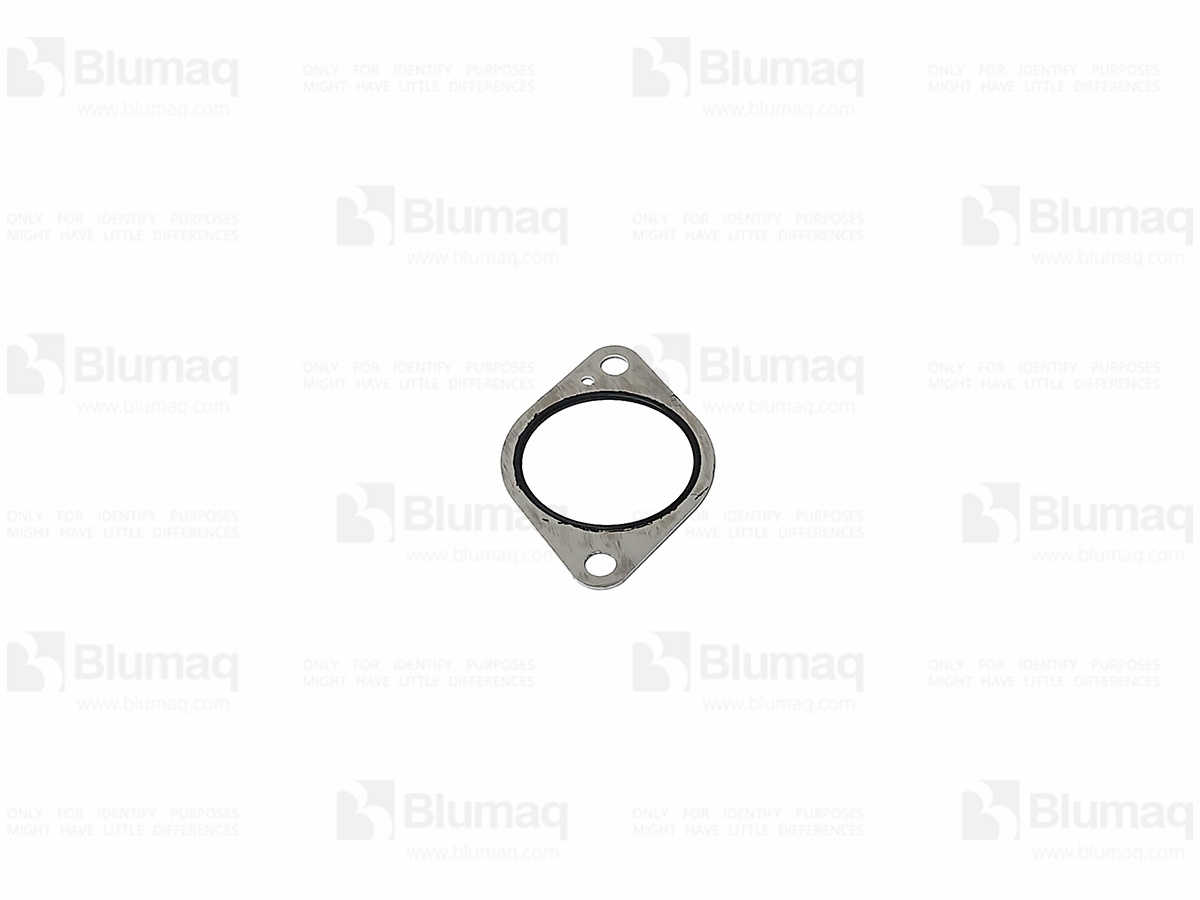 125-0434 Seal for BLUMAQ