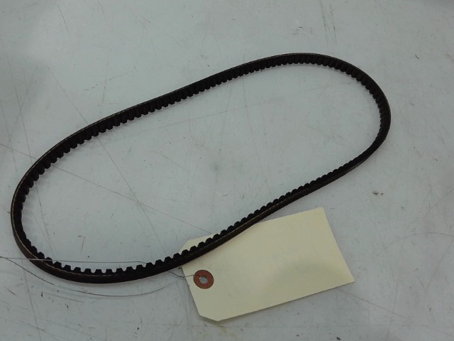 1666654 Belt for AGCO