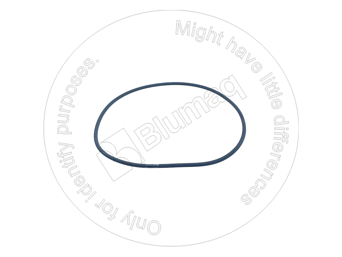 07000-25230 Seal O-ring for BLUMAQ